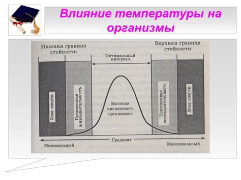 Влияние температуры на организм при ОРВИ