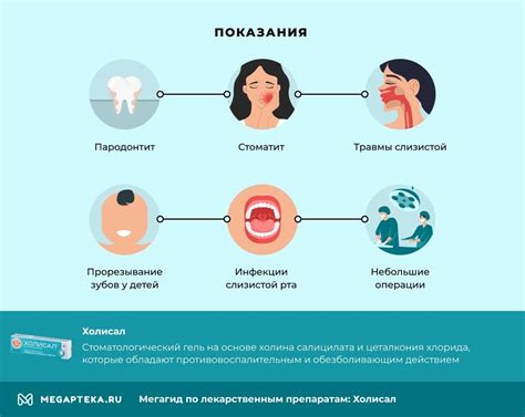 Влияние холодильника на свойства холисала