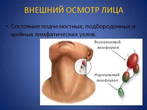 Внешний осмотр и состояние