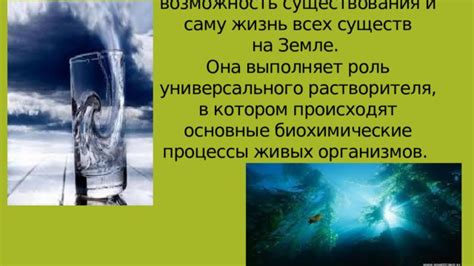 Вода и возможность ее существования