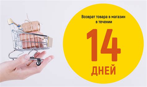 Возврат шарфа в течение 14 дней: возможно ли?