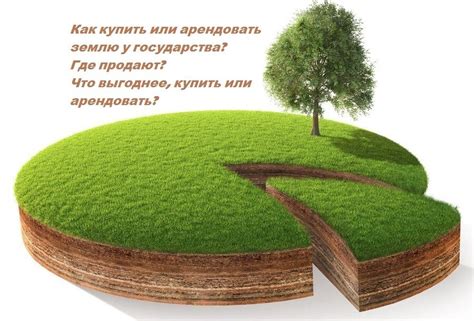 Возможности использования арендованной земли после продажи