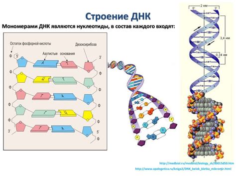 Возможности и ограничения определения ДНК по праху