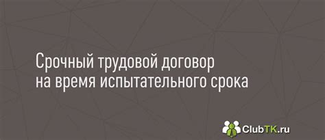 Возможность использования отпуска во время испытательного срока