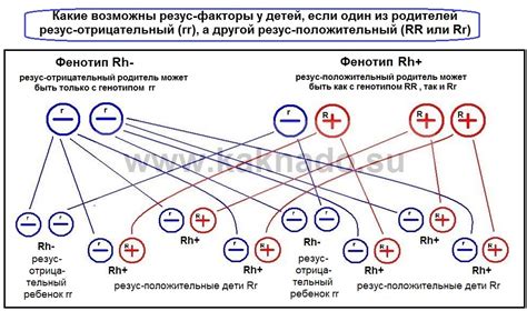 Возможность смены положительного на отрицательный резус-фактора