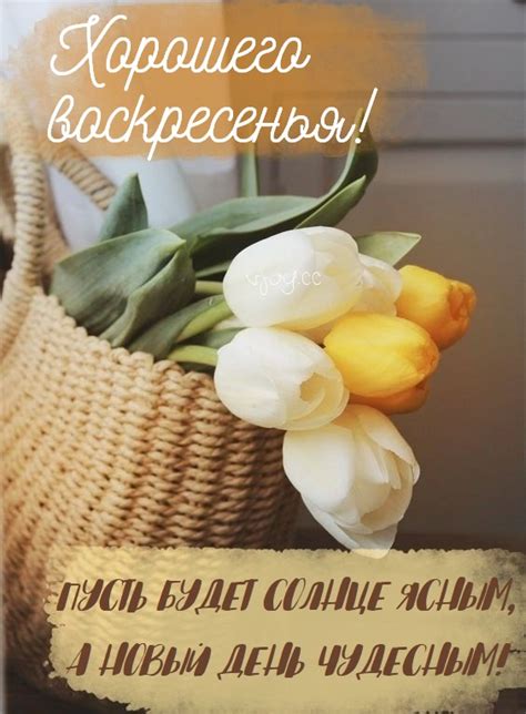 Воскресенье: выходной день