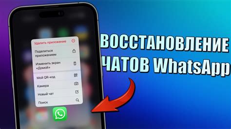 Восстановление переписки на WhatsApp: возможно или нет?