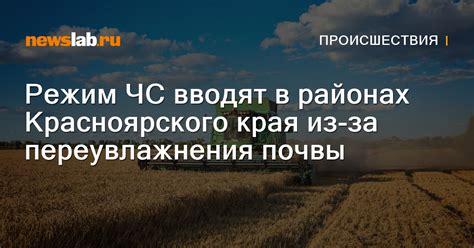 Вреды переувлажнения почвы