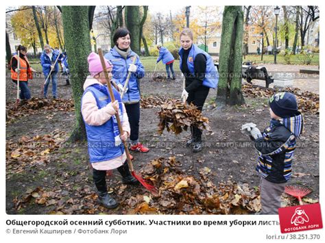 Время и частота уборки листьев