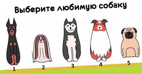 Выбор собачки