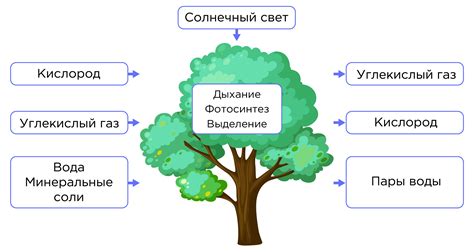 Выделение токсичных веществ