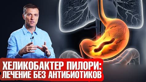 Выживание хеликобактер пилори внутри организма: условия существования