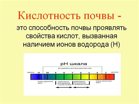 Выравнивание кислотности почвы