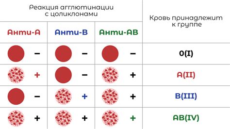 В чем заключается метод определения группы крови по методу Резус-фактора в Аматы?