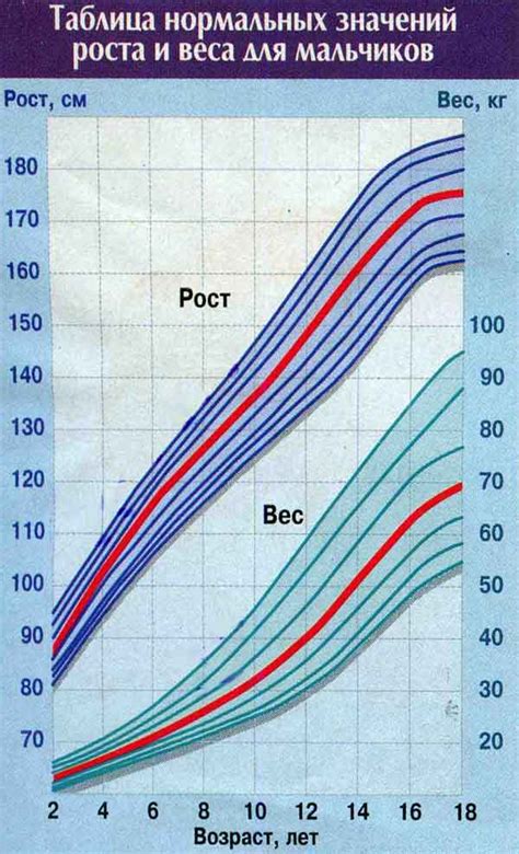 Генетический прогноз роста ребенка