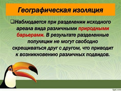 Географическая изоляция России от интернета