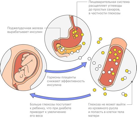 Гестационный диабет: влияние кураги