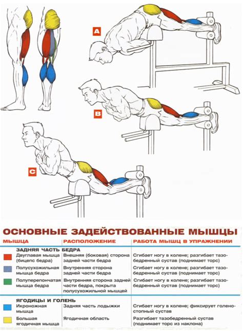 Гиперэкстензия - упражнение для развития мышц ягодиц и задней поверхности бедра