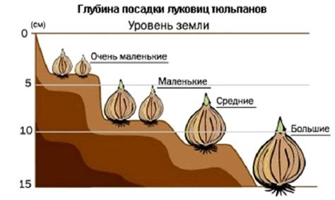 Глубина посадки