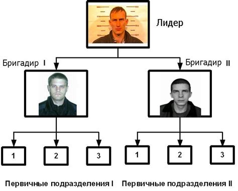 Государственные преступные группировки