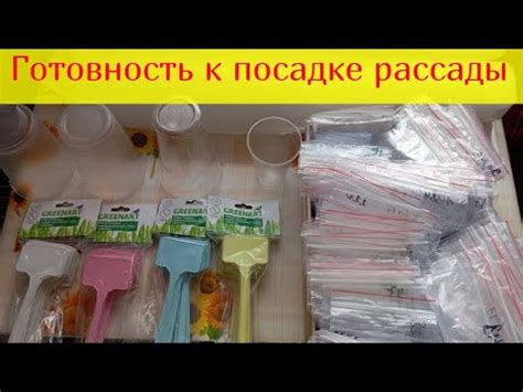 Готовность к посадке в 4 месяца