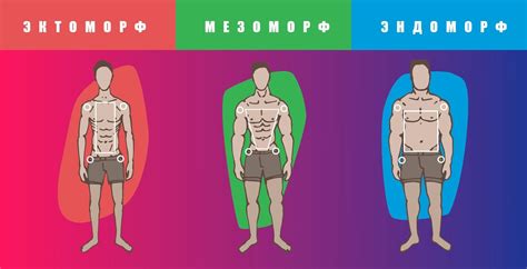 ДНК-тестирование и тип телосложения: достоверные результаты или миф?