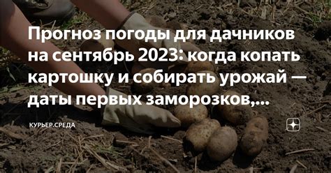 Даты и сроки бабьего лета 2023 года