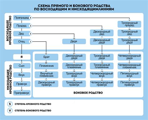 Двоюродная сестра: степень родства и особенности