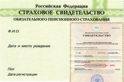 Документы, необходимые для узнавания СНИЛС по ИНН