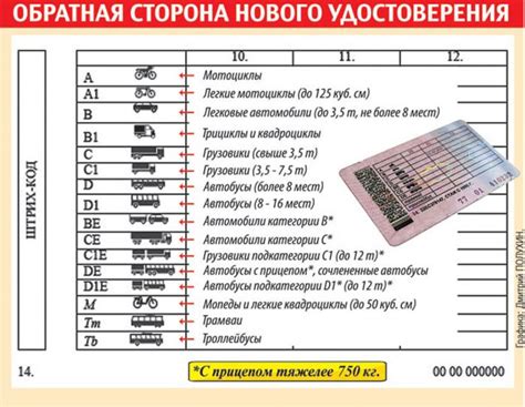 Дополнительная категория на прицеп: 6 важных аспектов выбора