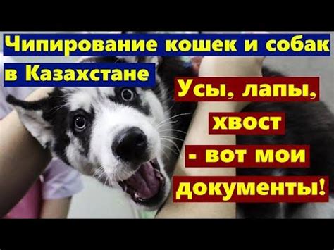 Дополнительные проблемы