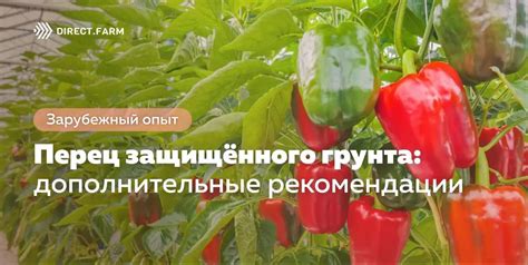 Дополнительные рекомендации по использованию грунта