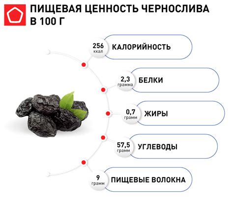 Другие польза чернослива и рекомендации