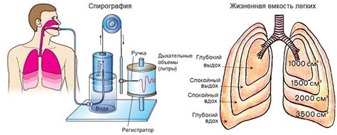 Другие способы повысить емкость лёгких