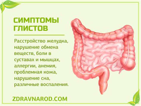 Естественные способы избавления от глистов