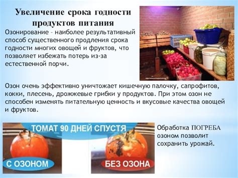 Естественные способы продления срока годности продуктов