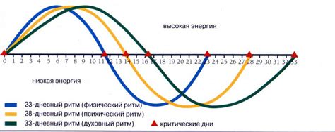 Естественный биоритм организма и выбор времени для использования Evitest