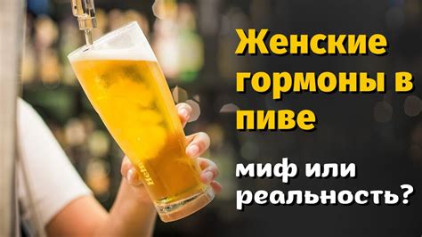 Женские гормоны в квасе: миф или реальность?