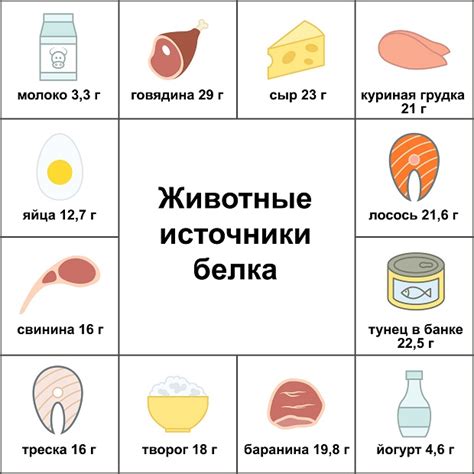 Животные источники белка