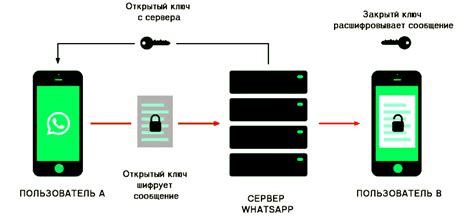 Зачем нужен ключ шифрования в WhatsApp