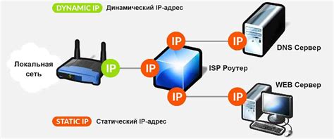 Зачем нужен IP адрес сервера Форест?