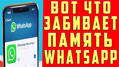 Зачем нужна Whatsapp на телефоне ютуб