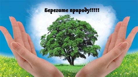 Защита и сохранение природы в заповедниках