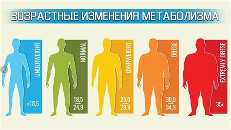 За что отвечает гормональный фон у детей и как он связан с жиром на нижнем животе?