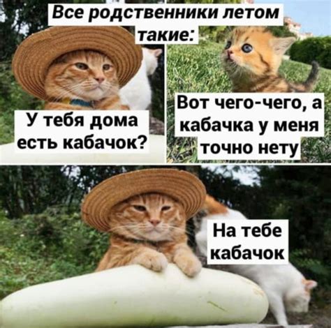 Здесь про соль и кабачки