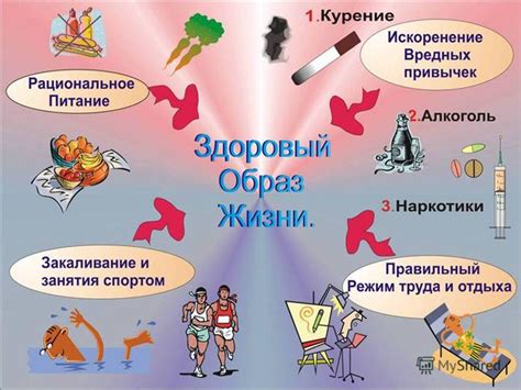 Здоровый образ жизни: залог силы и стойкости