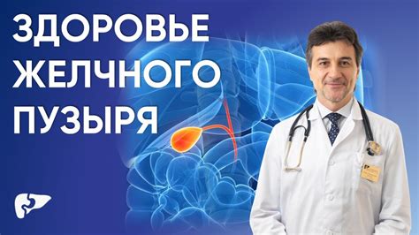 Здоровье желчного пузыря: основные принципы сохранения