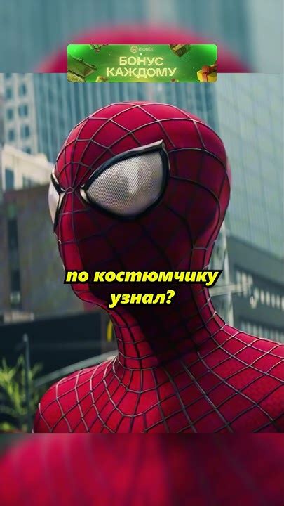 Знакомство с анатомией паука