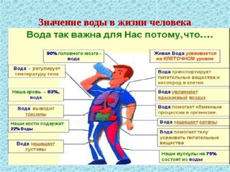 Значение водоотведения в жизни горожан