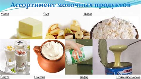 Значение молока и молочных продуктов для организма